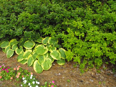 ./2011/Wilmington/thumbWilmington